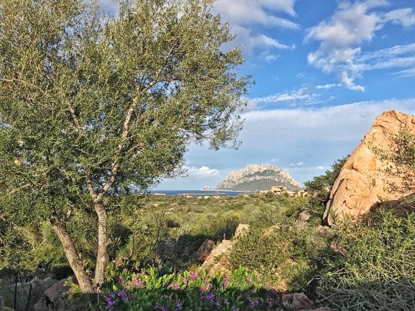 Le Caterine Villa Porto San Paolo  Eksteriør billede